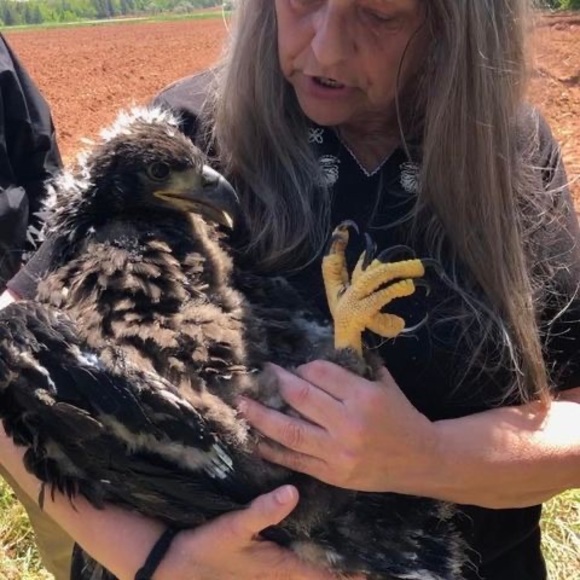 Meet your Posher, Janice - Picture 1 of 1